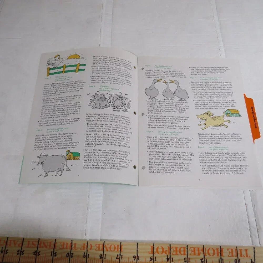 Sounds of the Farm BIG BOOK (almost 2 feet tall) with teacher pages Classroom